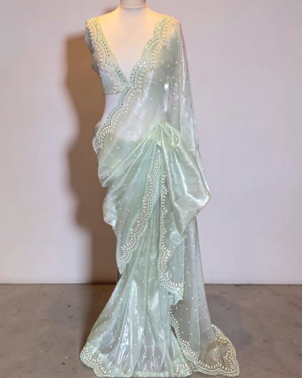 Designer Katdana Work Net Saree