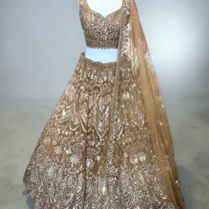 Party Wear Floral Sequins work Lehenga Choli Set