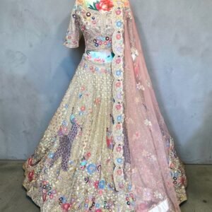Peacock Hand Emblished Designer Lehenga Choli Set